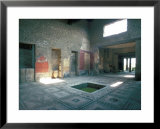 Politician's House, Pompeii, Campania, Italy Print by Christina Gascoigne