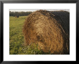 Hay Bales in Fields Near Bell Buckle, Tennessee  Print by Stephen Alvarez