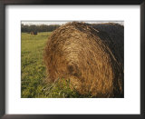 Hay Bales in Fields Near Bell Buckle, Tennessee Posters by Stephen Alvarez