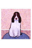 Patience - Springer Spaniel Edition limitée par Ken Bailey