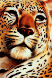 Leopard Print