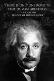 Einstein: Human Greatness, Poster