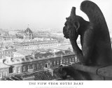 The View from Notre Dame Prints