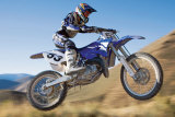 Dirt Biker Reprodukcje