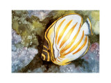 Under Water Angel Prints by Renée Mizgala