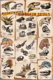 Dinosaur Skulls Reconstructed Pôsters