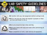Guidelines Prints