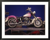 Harley Motorcycle Hybrid Arte di Stewart Cohen Harley Motorcycle Hybrid Arte di Stewart Cohen