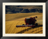 Farm Machinery Stampa