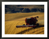 Farm Machinery Stampe