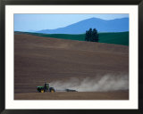 Tractor in Field Stampe