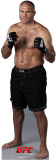 UFC - Randy Couture Stand Up