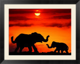 Adult And Young Elephants, Sunset Light Kunstdrucke von Russell Burden