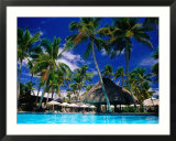 Hotel Pool and Palm Trees, Fiji Affiches par Peter Hendrie