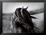 Fierce Grace Prints by Tony Stromberg