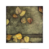 Wet Pavement II Limited Edition by Jennifer Goldberger