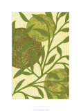 Florestial IV Limited Edition by Nancy Slocum