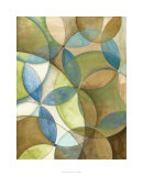 Circulate II Limited Edition by Megan Meagher