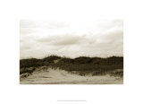 Ocracoke Dune Study I Edition limitée par Jason Johnson