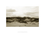 Ocracoke Dune Study III Limited Edition by Jason Johnson