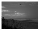 A Time For Meditation Photographic Print by Bob Howard