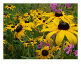 Beautiful Day Photographic Print by James Wheeler