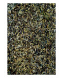 Green Giclee Print by Douglas Landau
