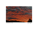 Suburban Sunrise Photographic Print by James Lyons