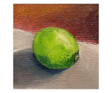 Lime Still Life Giclee Print by Michelle Calkins