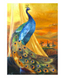 Tuscan Peacock Giclee Print by Mary Rucker