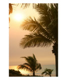 Broome Tropics Photographie par Jessica Emery