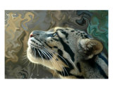Leopard Dreams Photographic Print by Heather Croxton