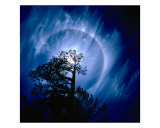 Planet Bluish Tree Photographic Print by Hansoo Kim