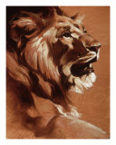Lion, King reproduction procédé giclée par Heather Theurer