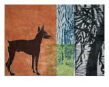 Miniature Pinscher Dog Poised Giclee Print by Wyllie O Hagan