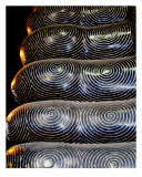 Toes of Reclining Buddha, Bangkok, Thailand Photographic Print by Kim Digiulio