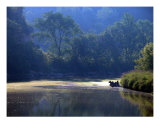 A Summer Day Photographic Print by Beverly Turner