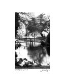Bridge In Pond Photographic Print by James Lyons
