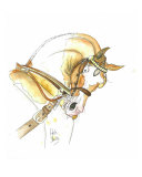 Skewbald Cob Giclee Print by Helen Yeo