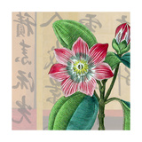 Zen Passion Flower I Lámina giclée por Ricki Mountain Zen Passion Flower I Lámina giclée por Ricki Mountain