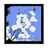 French Blue Money Art Photographic Print by Herb Dickinson