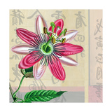 Zen Passion Flower II Lámina giclée por Ricki Mountain