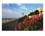 The Charleston Battery Lámina fotográfica por Benjamin Padgett