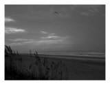 A Time For Meditation Photographic Print by Bob Howard