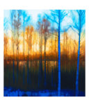Winter Sunset Through Woods On Lake Siljan Giclee-trykk av Dan Berkeland Winter Sunset Through Woods On Lake Siljan Giclee-trykk av Dan Berkeland