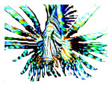 Spider Fish Giclee Print by Tom Sachse