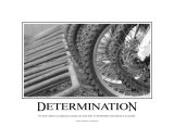Determinacja Reprodukcja zdjęcia autor Harry Starr Determinacja Reprodukcja zdjęcia autor Harry Starr