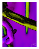 Durchbrochen 03 Giclee Print by andreas kovar