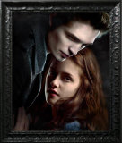 Twilight Posters