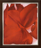 Red Cannas Prints by Georgia O'Keeffe